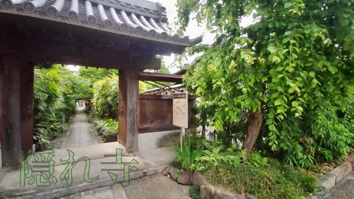 【4K 30p】名古屋の町中に潜む美しき隠れ寺　崇覚寺【Nagoya in Japan】
