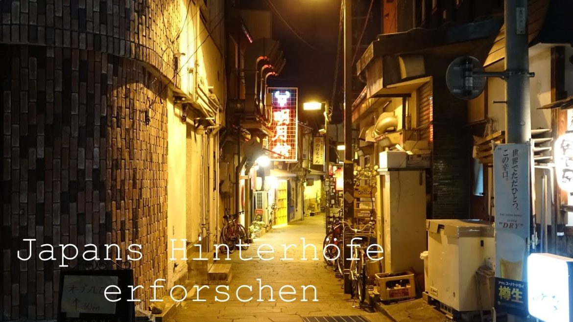 Japans Hinterhöfe erforschen  –  Matsumoto City bei Nacht, Izakaya-Tour Japans Hinterhöfe erforschen  -  Matsumoto City bei Nacht, Izakaya-Tour