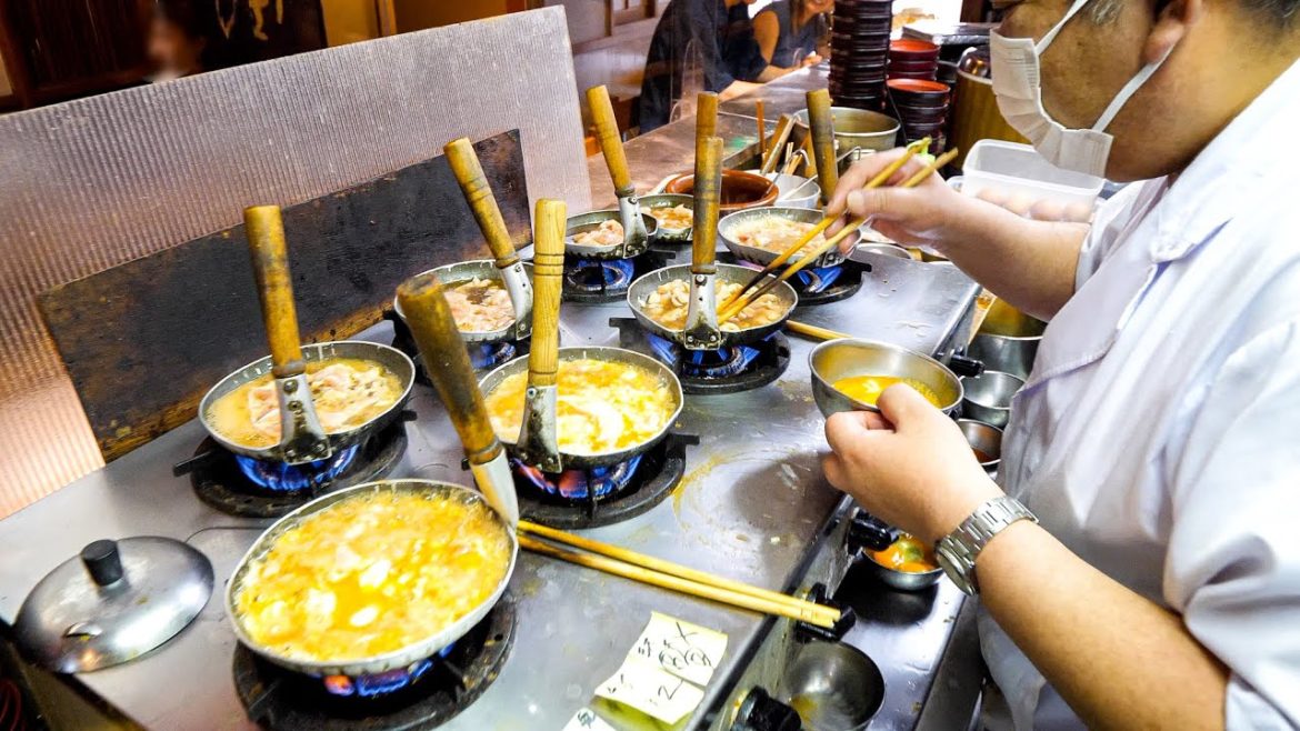 驚異的な超絶どんぶり玉子ラッシュ！熟練の職人手さばきで作る究極の親子丼丨OYAKODON/JAPANESE COOKING