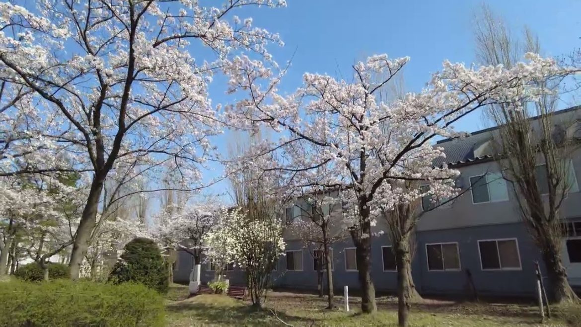 4K Japan Walk –  NIIGATA NAGAOKA Neighborhood Walking Tour | 新潟長岡 2022 4K Japan Walk -  NIIGATA NAGAOKA Neighborhood Walking Tour | 新潟長岡 2022