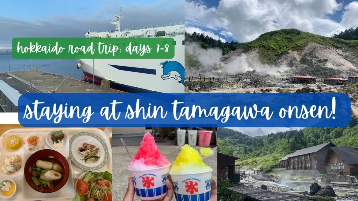 staying at the shin tamagawa onsen ~