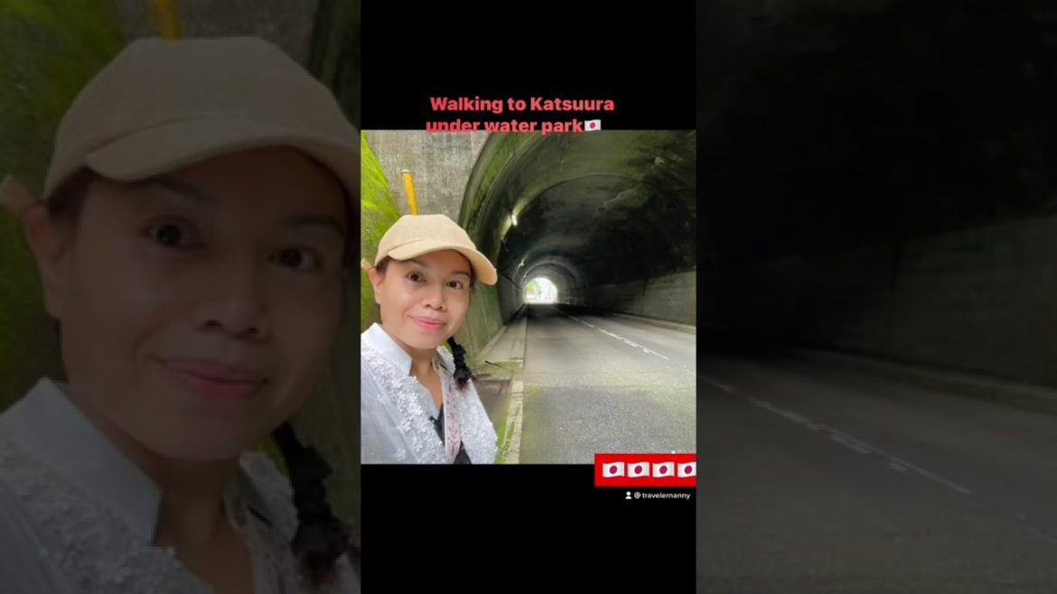 Countryside  Best of Japan  || Japan Travel Vlog