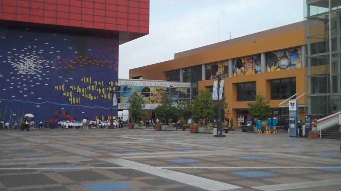 Visit  Kaiyukan Aquarium-Osaka, Japan (Pt 1)  大阪　海遊館