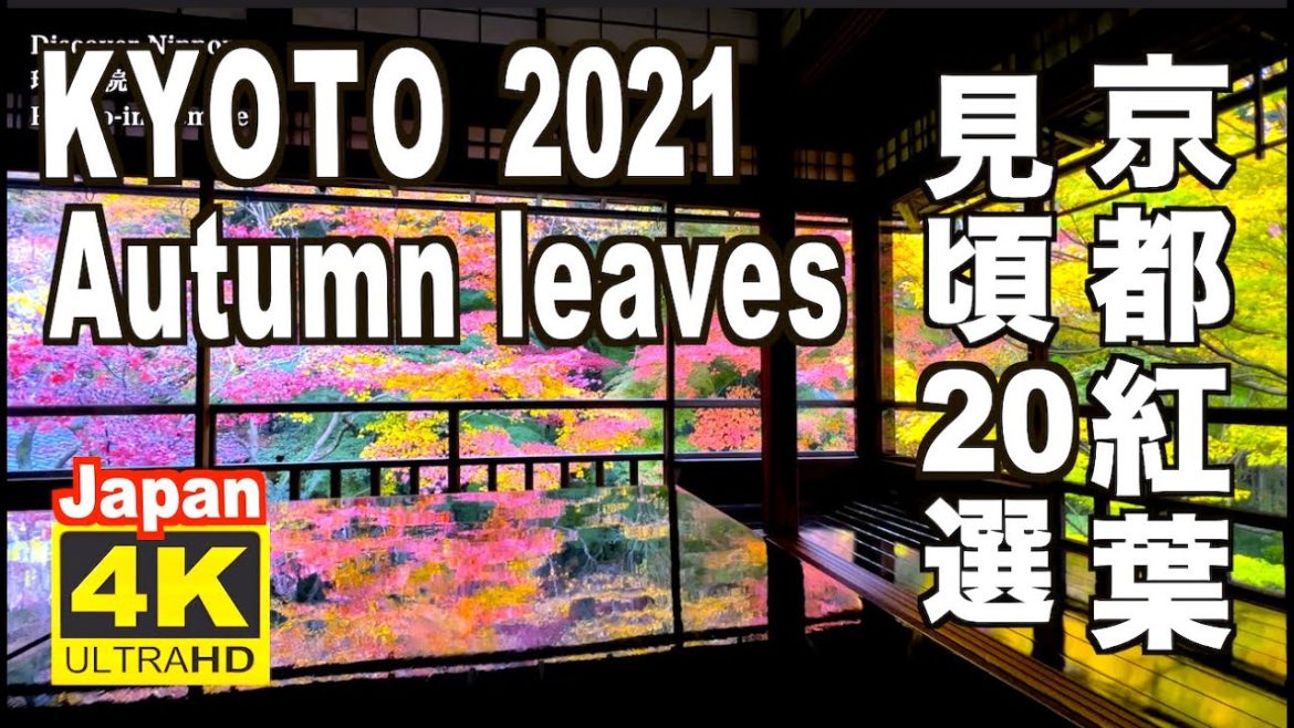 4K 2021 Japan Kyoto Autumn Leaves Spots 見頃の京都の紅葉 20選 京都観光 旅行 案内 清水寺 東福寺 嵐山 圓光寺 瑠璃光院 永観堂 三千院 日本の紅葉 4K 2021 Japan Kyoto Autumn Leaves Spots 見頃の京都の紅葉 20選 京都観光 旅行 案内 清水寺 東福寺 嵐山 圓光寺 瑠璃光院 永観堂 三千院 日本の紅葉