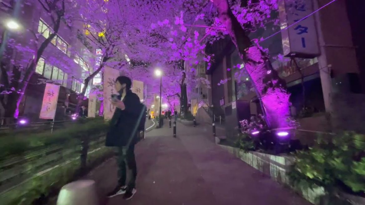 TOKYO TOUR - Night Walking Shibuya With Beautiful Cherry Blossoms 2022