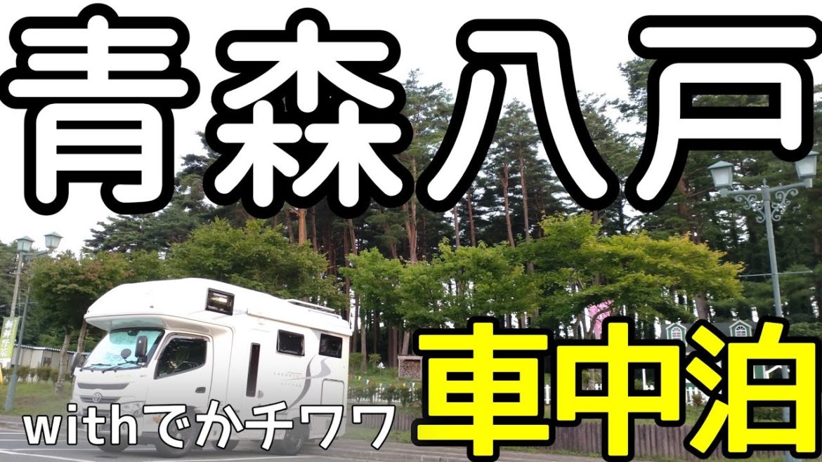 青森車中泊道の駅なんごう美味しい八戸八食センター そして北海道へ続く長い夏休みの始まり【キャンピングカークレソンボヤージュwith dog】
