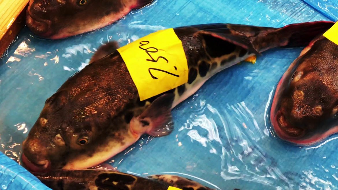 "Must-Visit Places" at Shinsaibashi & Surrounding area in Osaka (4K)