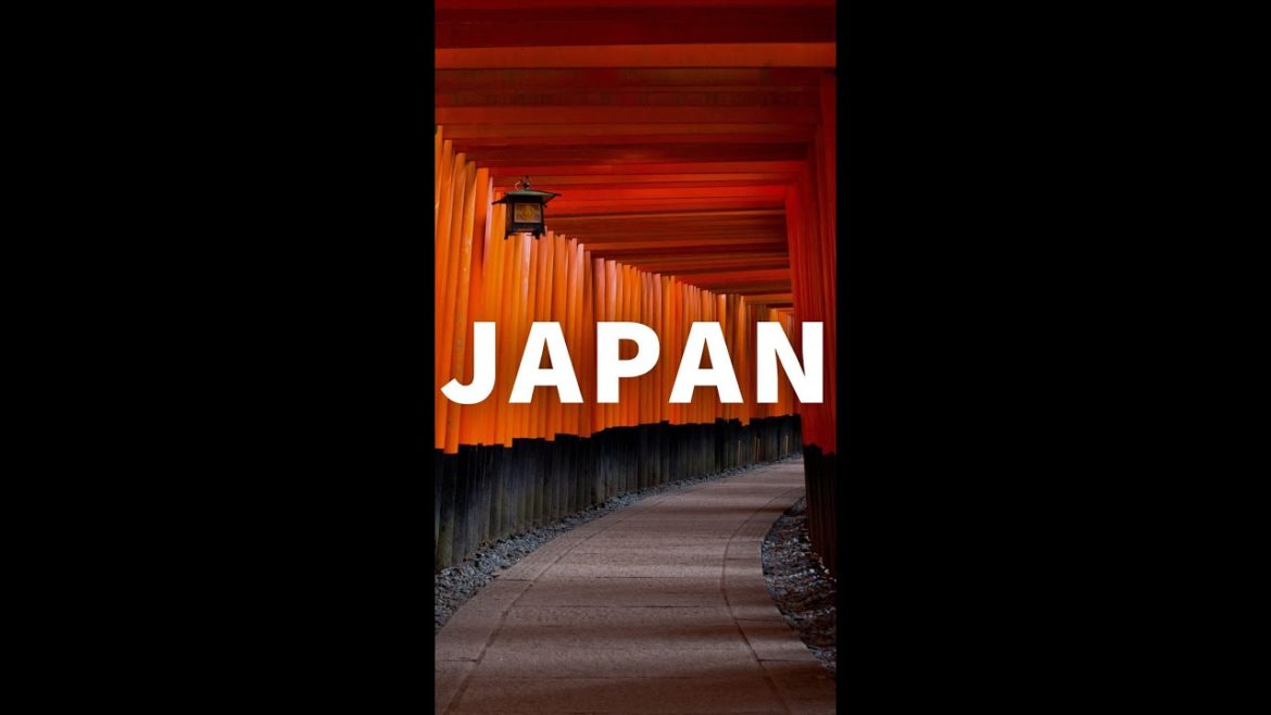 Kyoto Japan | Travel Vlog #Shorts Kyoto Japan | Travel Vlog #Shorts