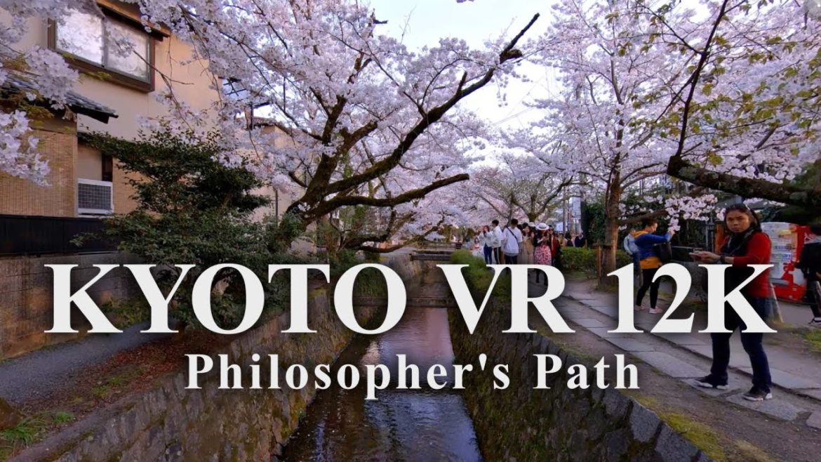【京都観光VR】哲学の道 8K VR – Path of Philosophy 8K VR – 【京都観光VR】哲学の道 8K VR – Path of Philosophy 8K VR –