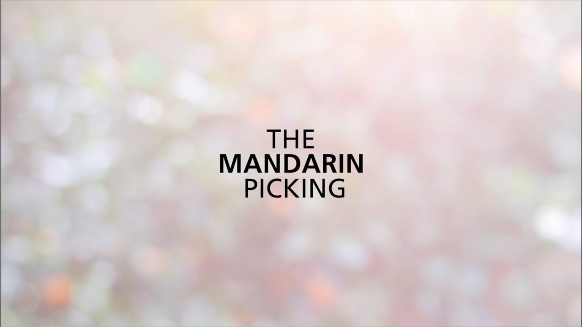 The Mandarin Picking