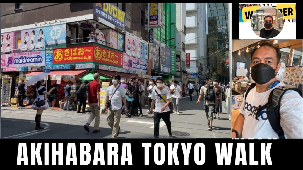 AKIHABARA TOKYO BEST SHORT WALK/ The wonderer of Japan #JAPAN AMAZING STREET #akihabara AKIHABARA TOKYO BEST SHORT WALK/ The wonderer of Japan #JAPAN AMAZING STREET #akihabara