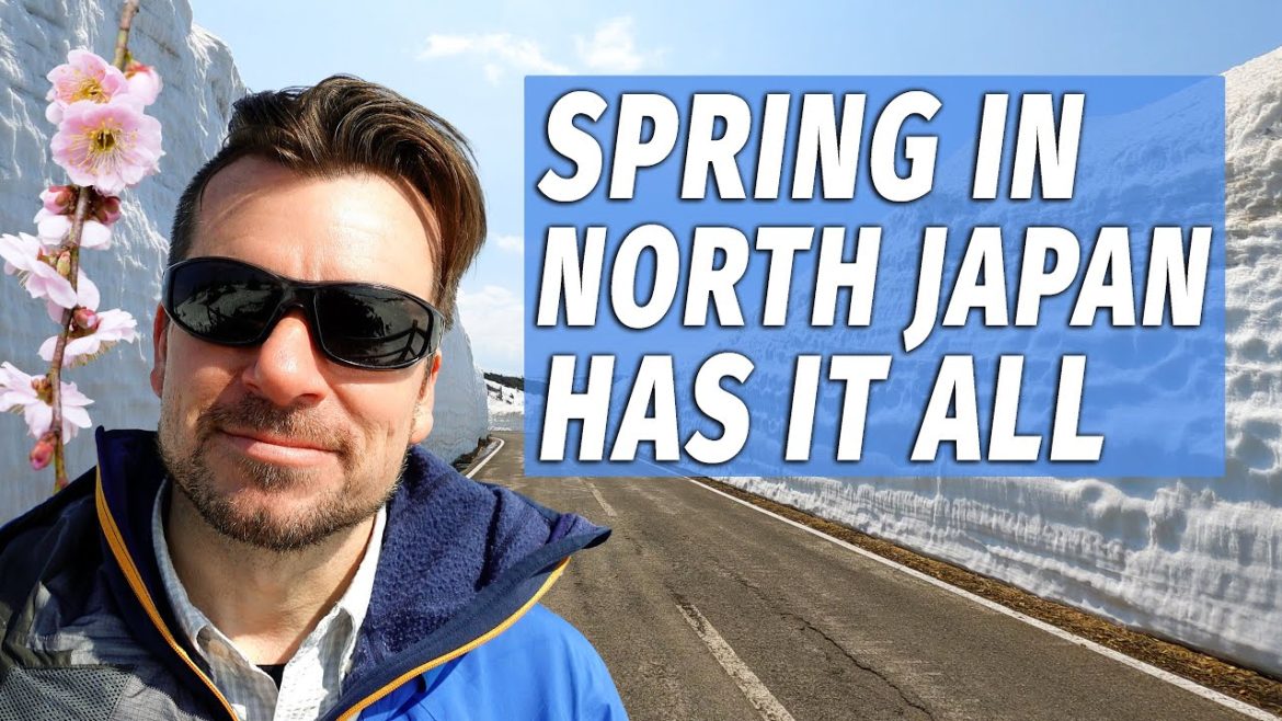 Don't Miss North Japan's Best Spring Spot - The Hachimantai Aspite Line