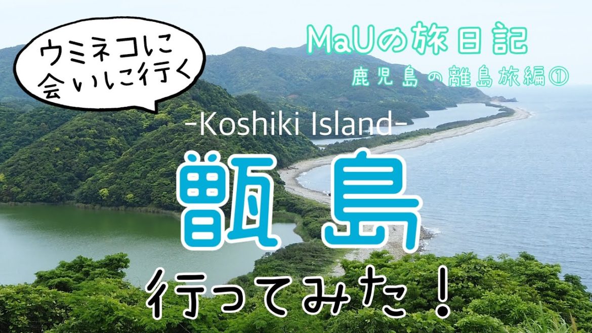 【離島ひとり旅VLOG】ウミネコとふれあえる！化石が眠る不思議の島「甑島」鹿児島の離島旅編①