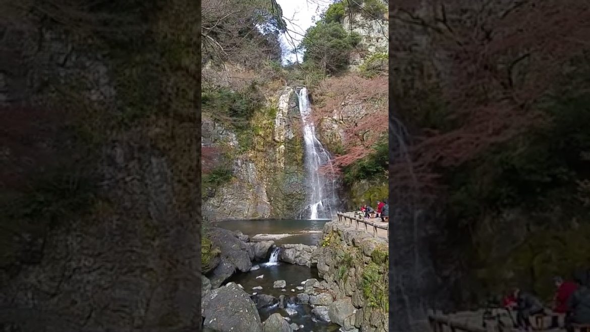 Beautiful Minoo Waterfall in Osaka #Shorts