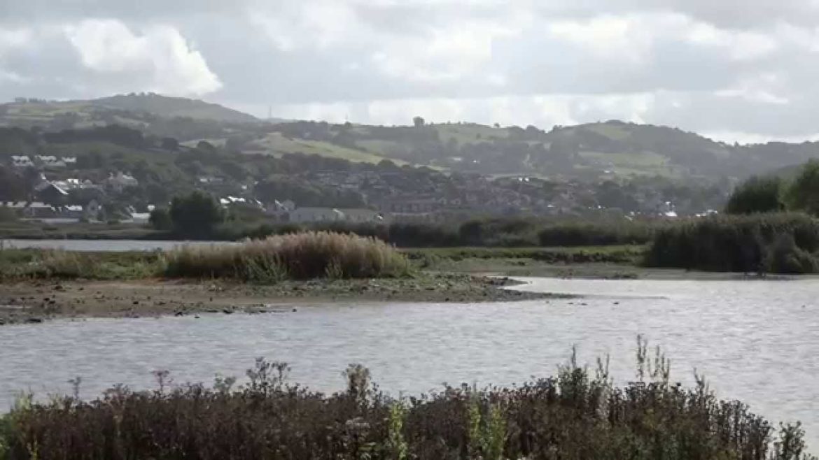 Sony PXW-X70 trial ~ RSPB Conwy – a September afternoon Sony PXW-X70 trial ~ RSPB Conwy - a September afternoon