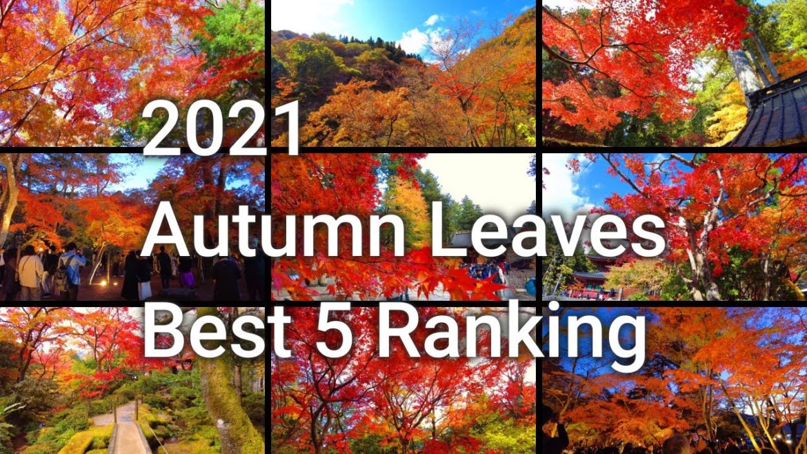 【4K】Japan Walking Tour – 2021 Autumn Leaves Best 5 Ranking 【4K】Japan Walking Tour - 2021 Autumn Leaves Best 5 Ranking