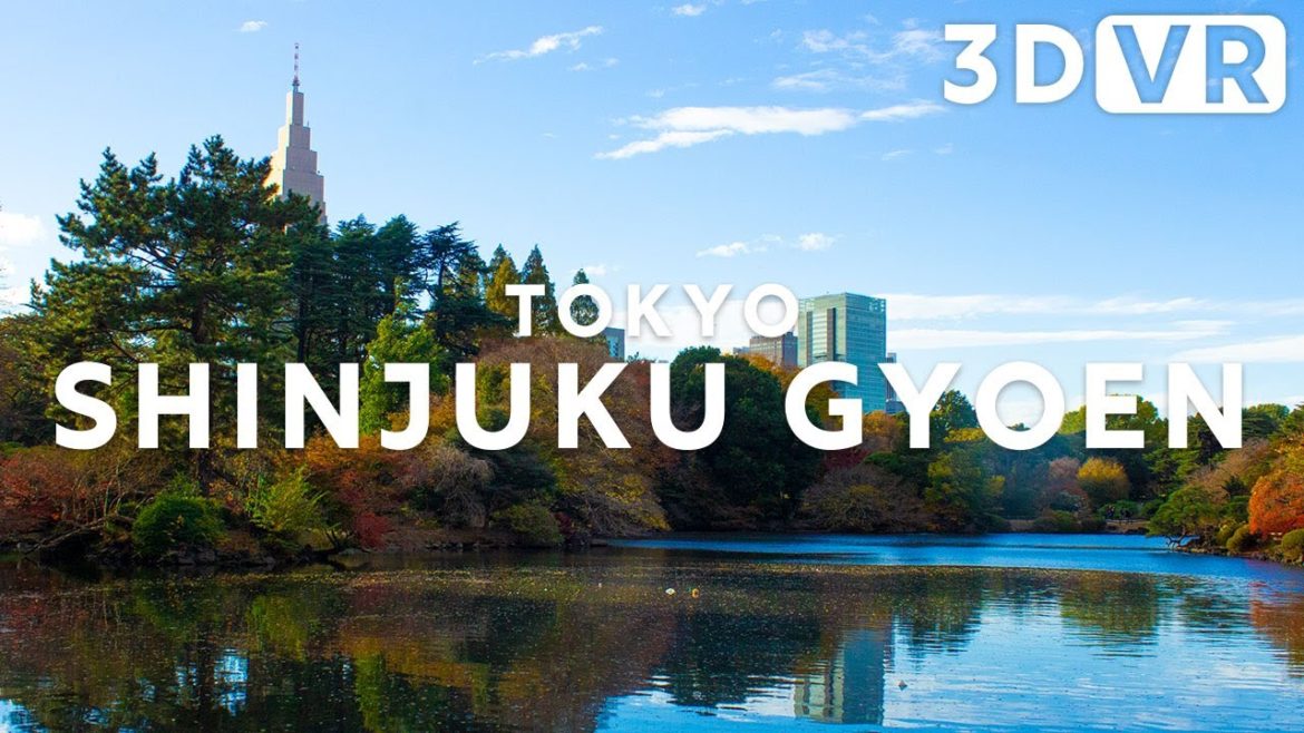 [5.7K VR180 3D] JAPAN TOKYO SHINJUKU GYOEN | VR VIDEO