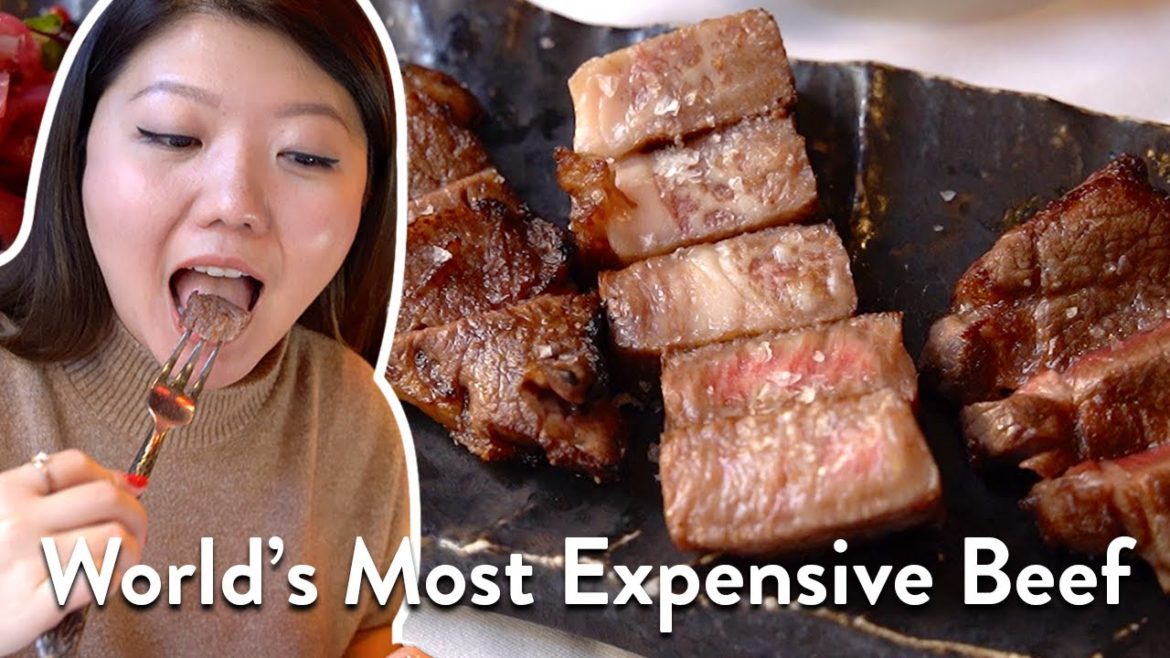 PREMIUM JAPANESE KOBE BEEF in NEW YORK 🔥