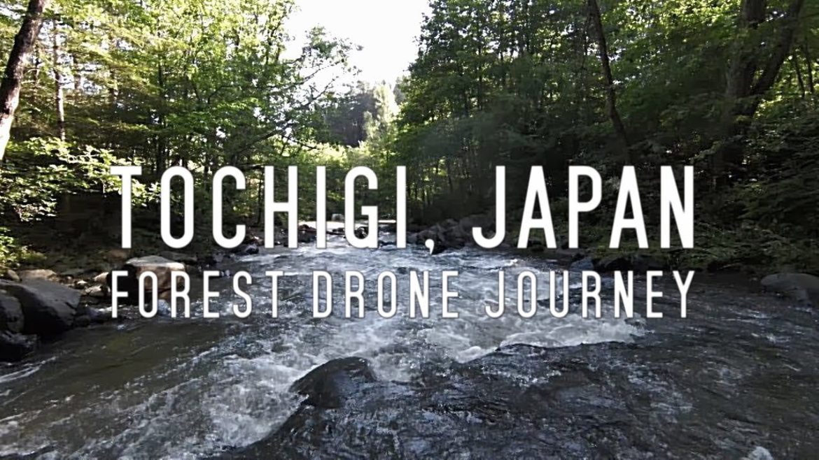 TOCHIGI, JAPAN: Forest Drone Journey (4K/60FPS Tour) Stunning Drone 4K Footage