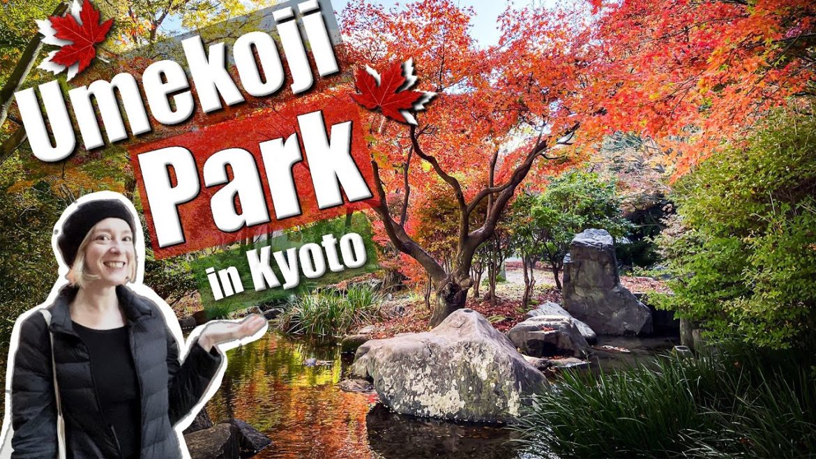Autumn Leaves at Umekoji Park in Kyoto - Best-Kept Secret!