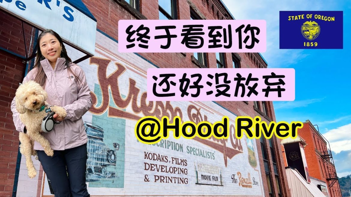 美国俄勒冈州Oregon自驾游第3集 超好逛小城Hood River 千呼万唤始出来之火山Mount Hood | Columbia River George, Oregon | 美国自驾游