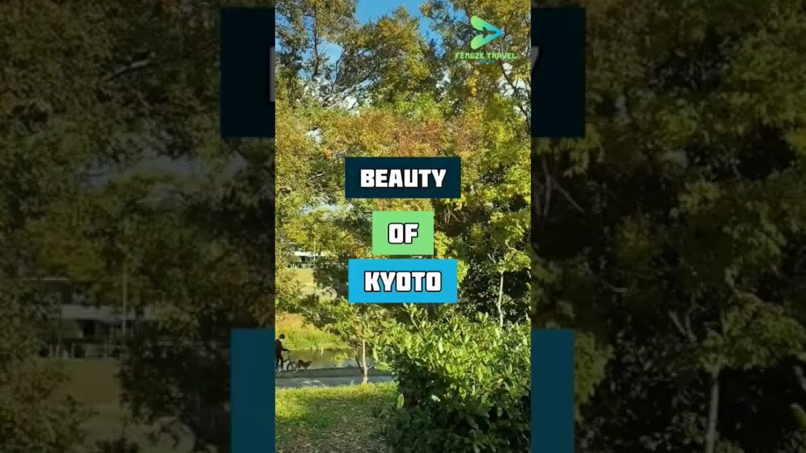 Beauty Of Kyoto || japan travel || japan kyoto || kyoto japan || #shorts