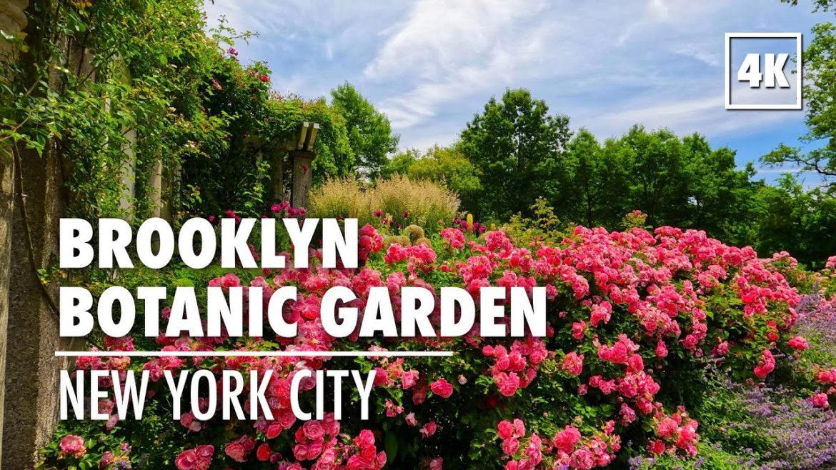 New York City Walking Tour [4K] Brooklyn Botanic Garden