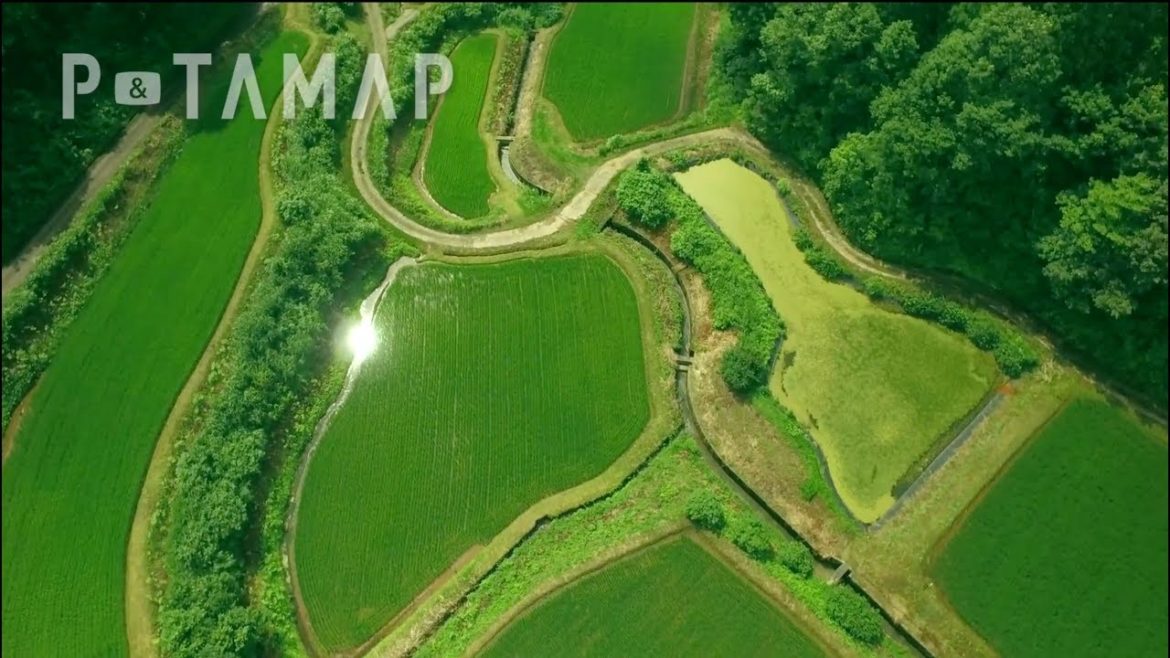 必見!美しき新潟の風景【ドローン空撮・ダイジェスト】 必見!美しき新潟の風景【ドローン空撮・ダイジェスト】