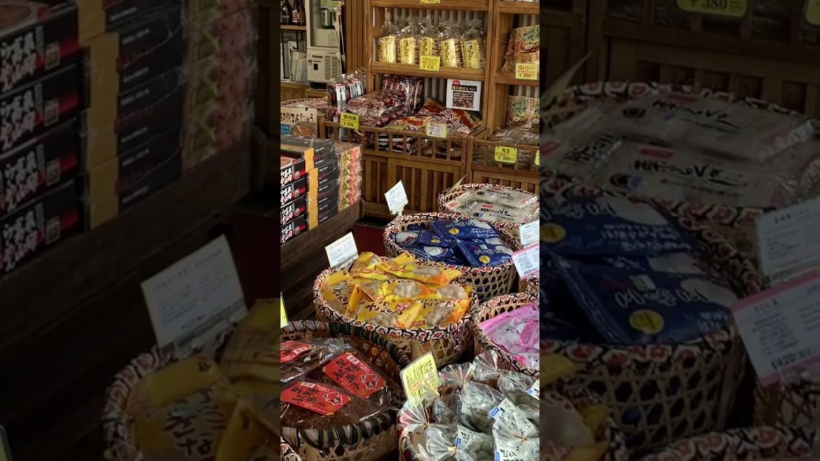 Tour of Takayama city Japan