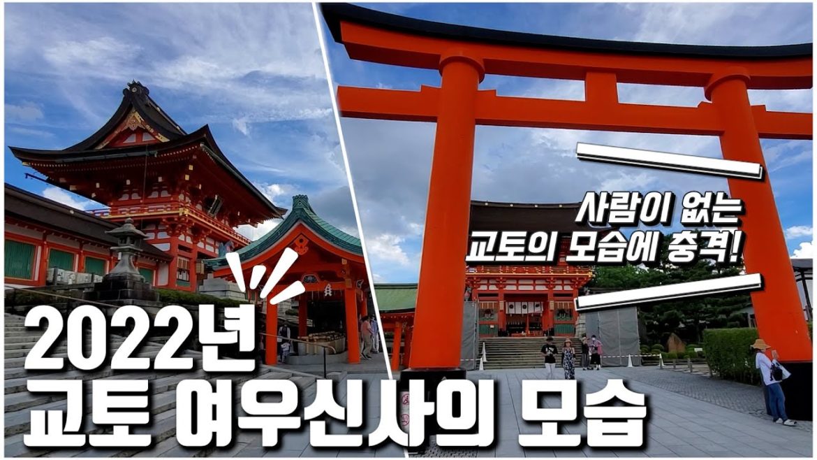 교토 여행｜2022년 여우신사의 모습｜자유여행시 참고하세요 어그로 없는 솔직한 여행 팁｜일본 여행 브이로그