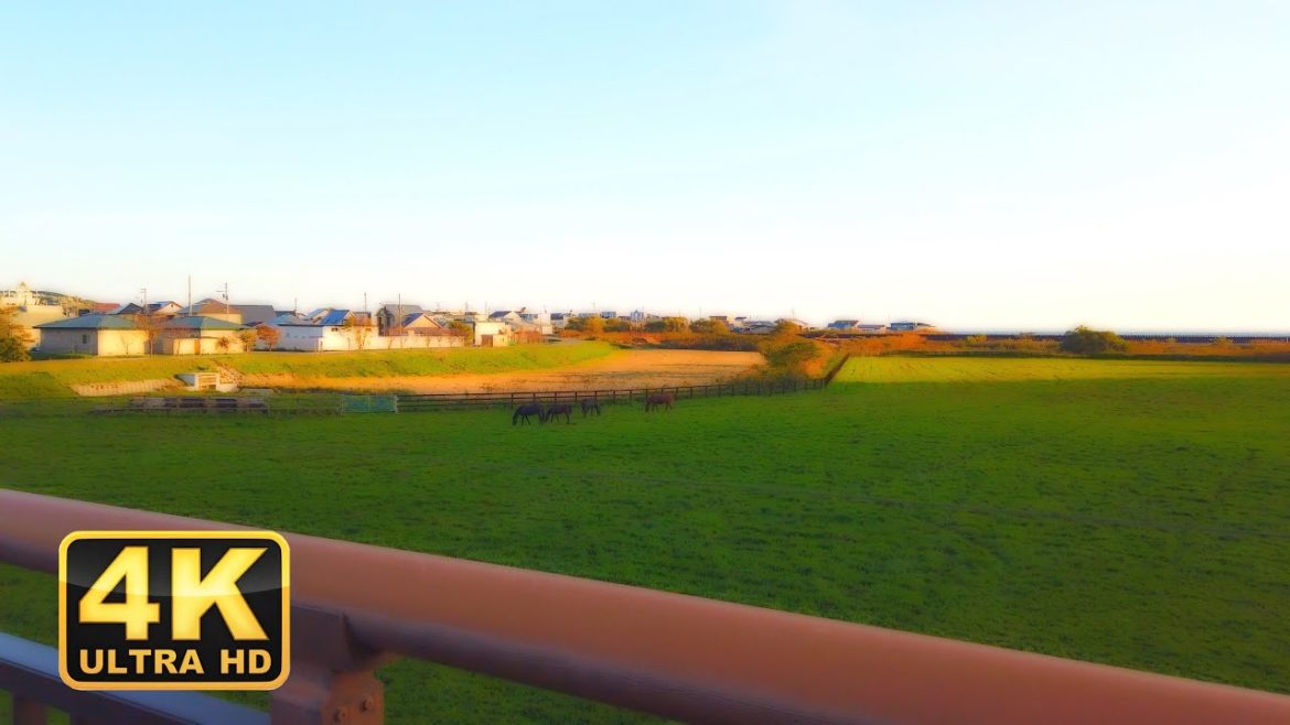 Niikappu, Hokkaido|Japan Walking Tour【4K】 Niikappu, Hokkaido|Japan Walking Tour【4K】