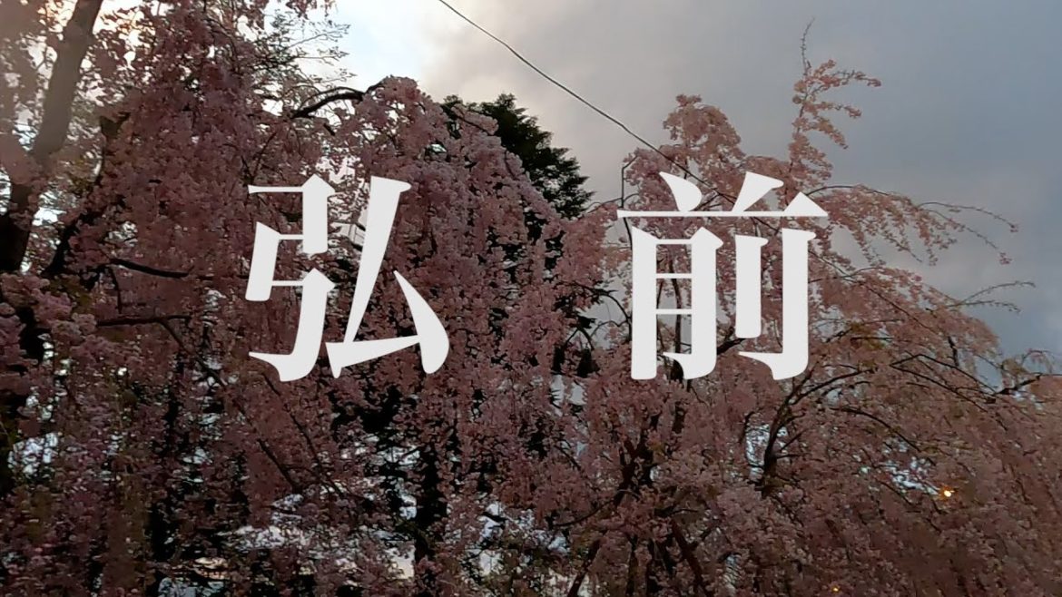 弘前 Hirosaki | 青森 Aomori | 十和田湖 Lake Towada | 為了左營楊小姐 Chapter.3