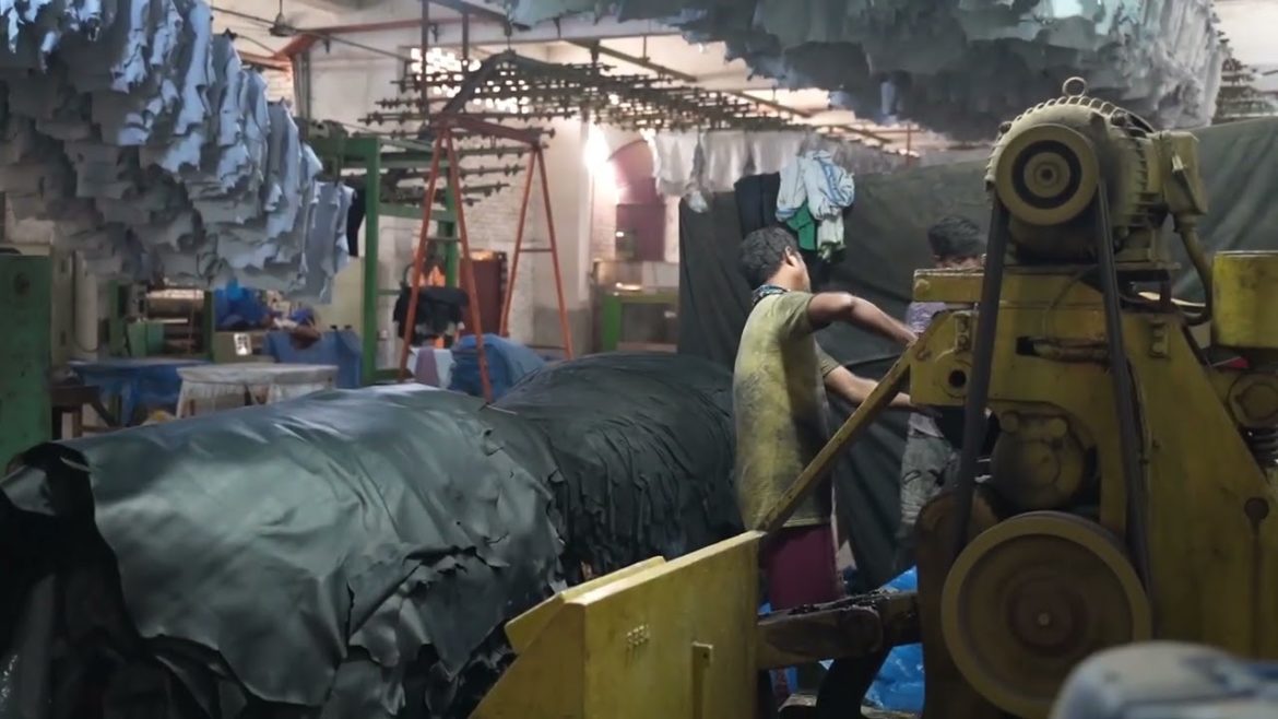 Leather industries of Bangladesh Ltd tannery