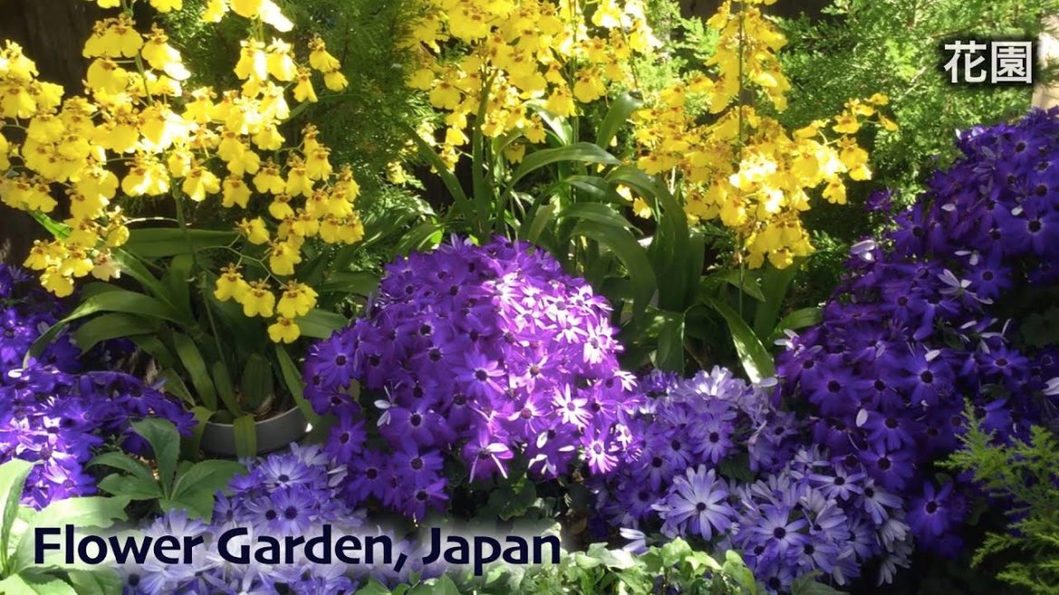 Flower Garden Japan
