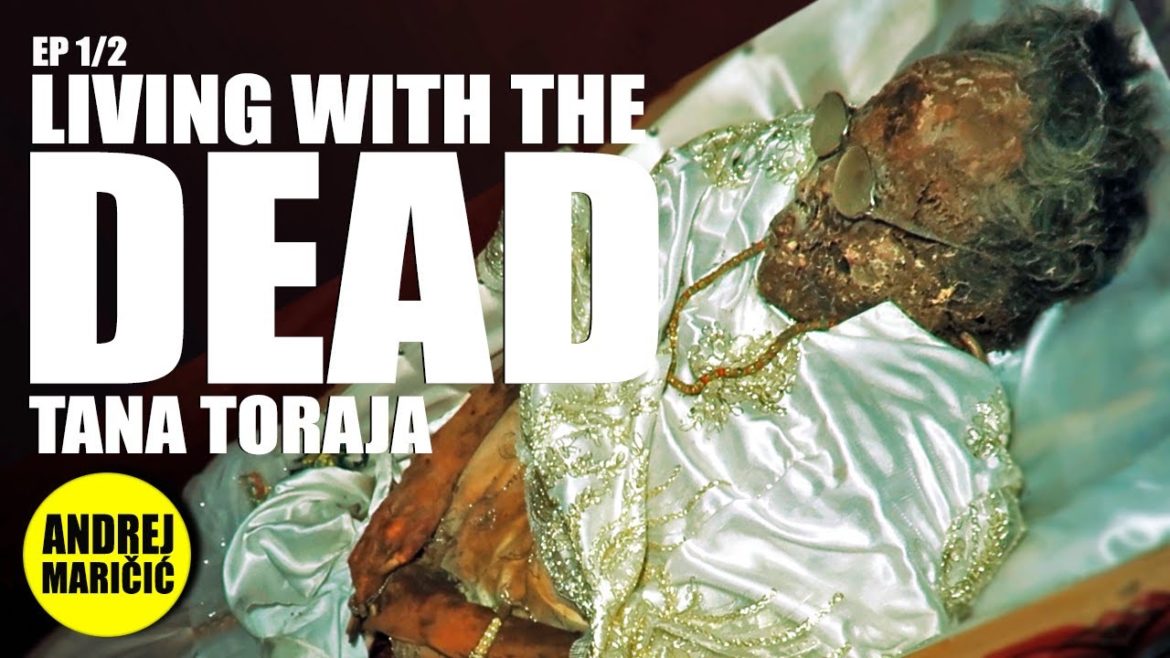 ŽIVOT SA MRTVIMA 1.deo | TANA TORAJA | Bez granica sa Andrejem | Putopis Indonezija ŽIVOT SA MRTVIMA 1.deo | TANA TORAJA | Bez granica sa Andrejem | Putopis Indonezija