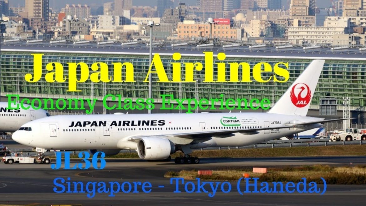Japan Airlines Economy Class Experience: JL36 Singapore to Tokyo (Haneda)
