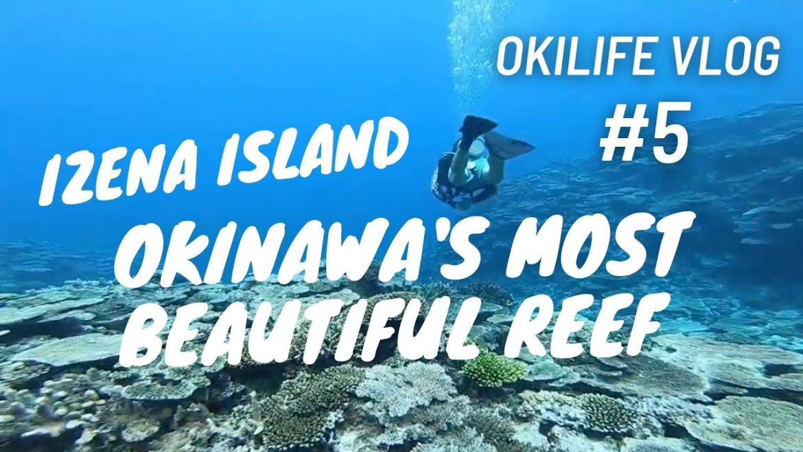 Izena Island Okinawa's Most Beautiful Reef?