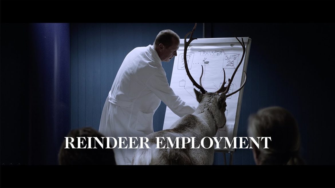 Santa's Reindeer Employment | Finnair Santa's Reindeer Employment | Finnair