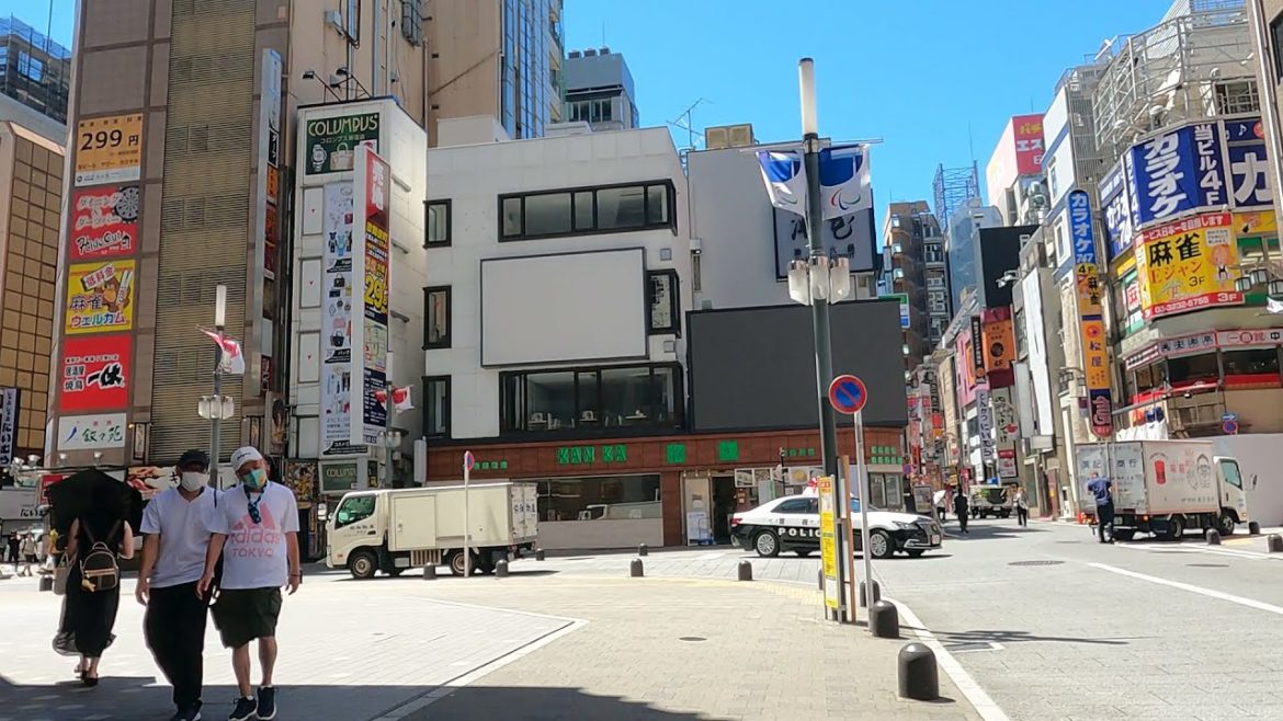 Kabukichou Shinjuku Tokyo walking tour| 新宿歌舞伎町を散歩【4K】 Kabukichou Shinjuku Tokyo walking tour| 新宿歌舞伎町を散歩【4K】