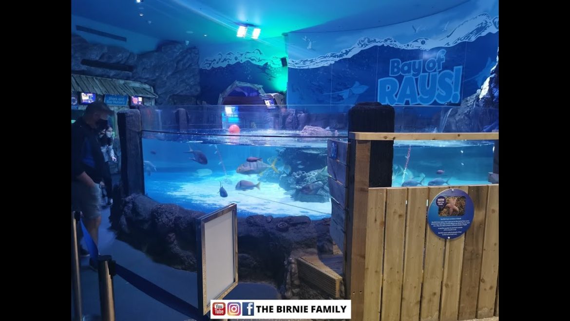 A Video Tour of a Sea Life Aquarium | Loch Lomond Series #6 - Scottish Tours