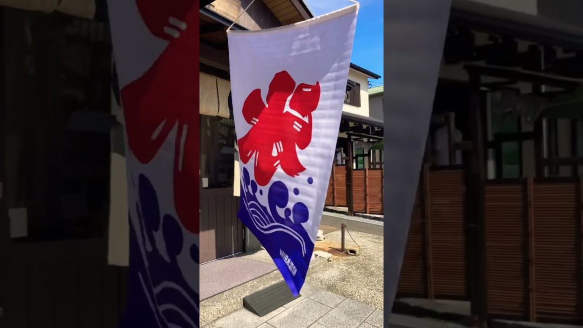 Calm Summer… Strolling in Japan