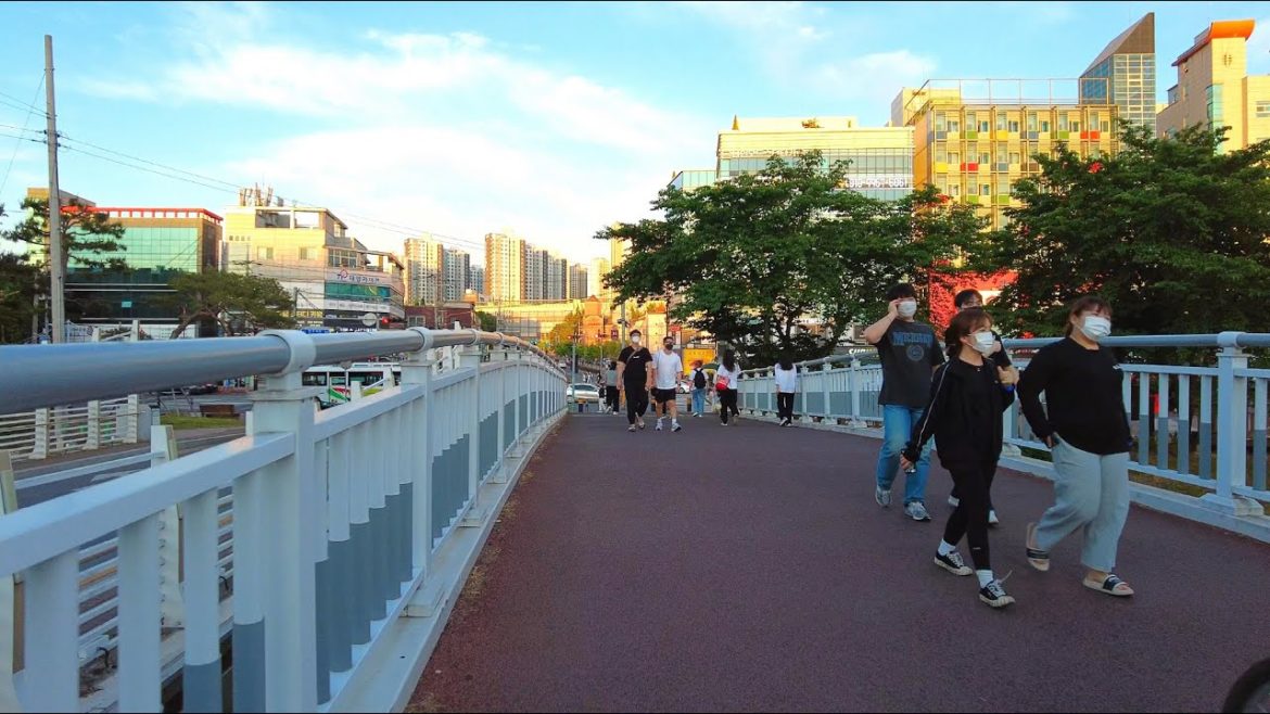 【City Tour】 JINJU - Gahodong 🚶‍♂️ Around Gyeongsang Univ. - Gajwa Campus