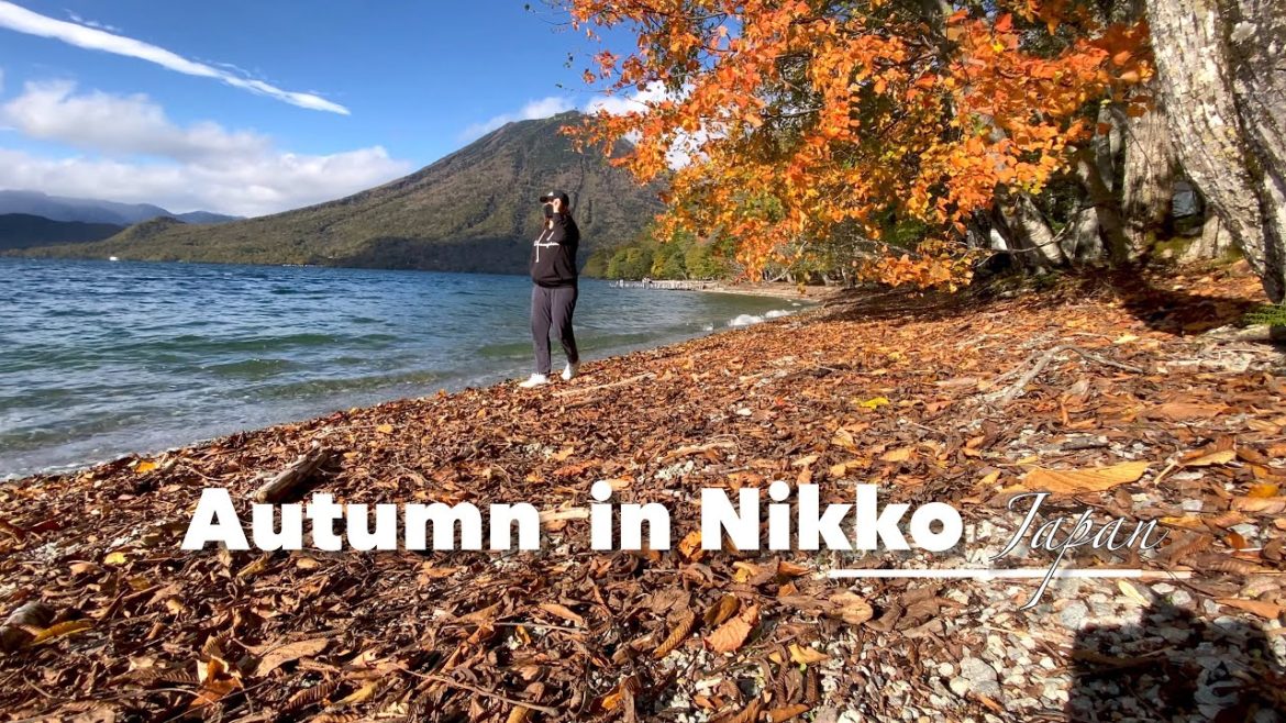 Living in Japan | Beautiful Autumn day at Nikko