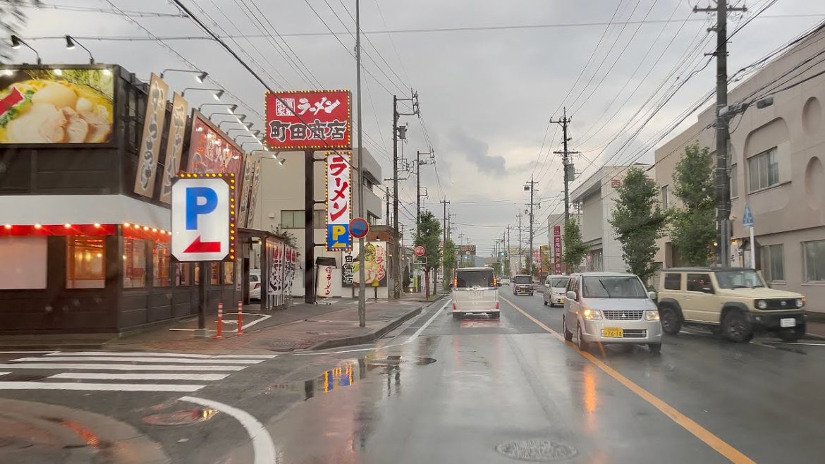 City Driving in Rain at Gamagori Aichi Japan City Driving in Rain at Gamagori Aichi Japan
