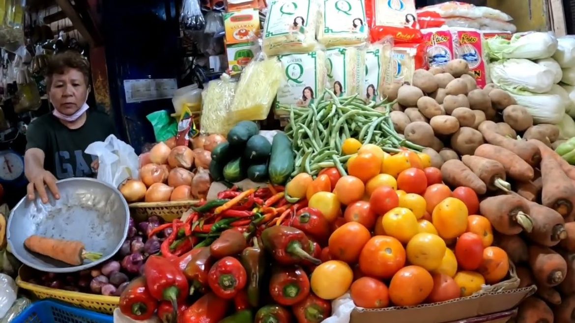 CENTRAL PUBLIC  MARKET 2022 WALK TOUR  ILOILO CITY PHILIPPINES (5K HD) CENTRAL PUBLIC  MARKET 2022 WALK TOUR  ILOILO CITY PHILIPPINES (5K HD)