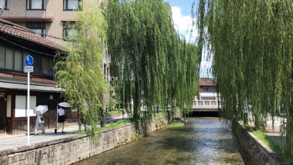 22年8月3日 涼を感じる夏の京都を歩く 知恩院,神宮道,白川,古川町商店街 Walk around Kyoto city,Japan vlog