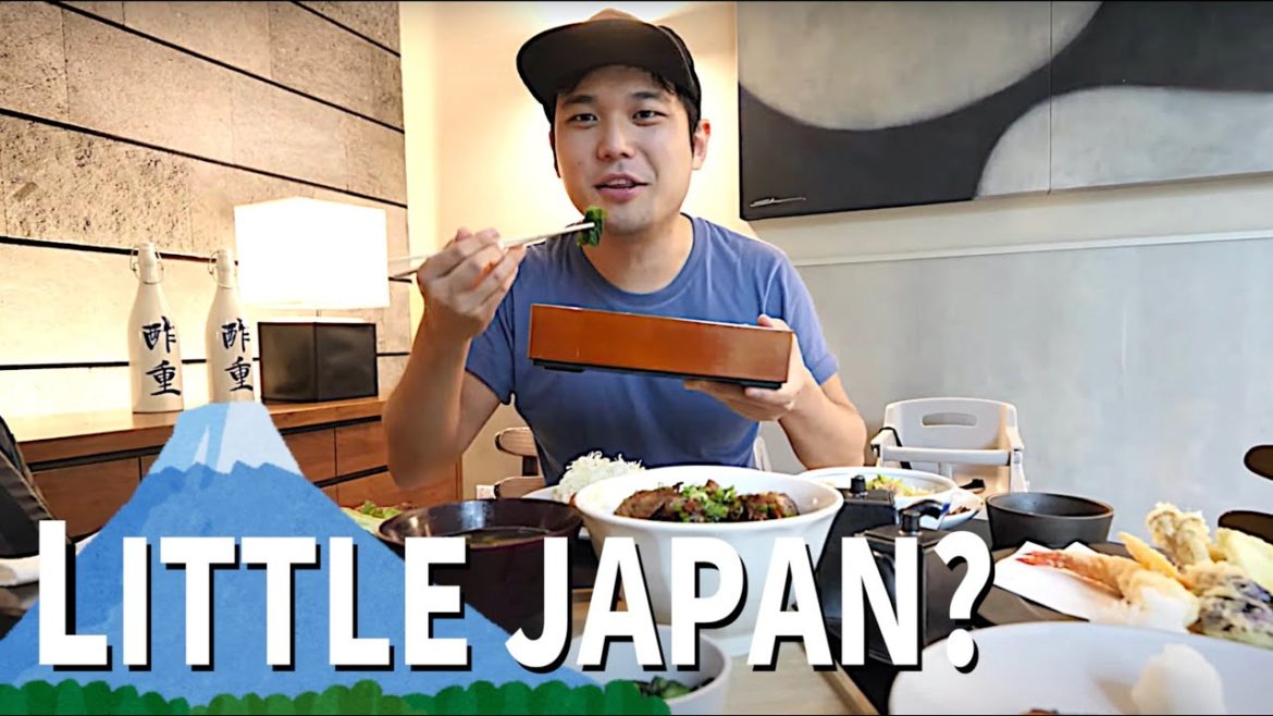 Who Knew Singapore Had This? LITTLE JAPAN Tour 🇸🇬 Who Knew Singapore Had This? LITTLE JAPAN Tour 🇸🇬