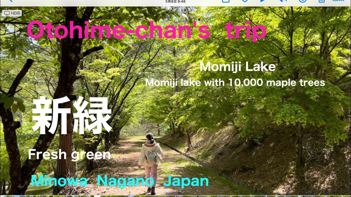 [新緑  もみじ湖]   Fresh green   Momiji Lake    長野県箕輪町