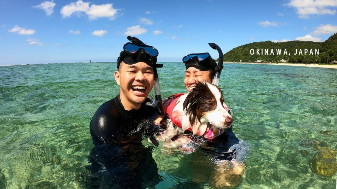 Summer time in Okinawa