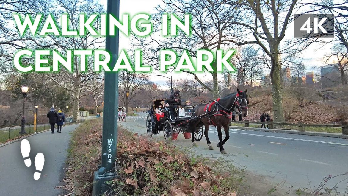 Walking Across Central Park ⛲️ Walking Tour NYC [4K]